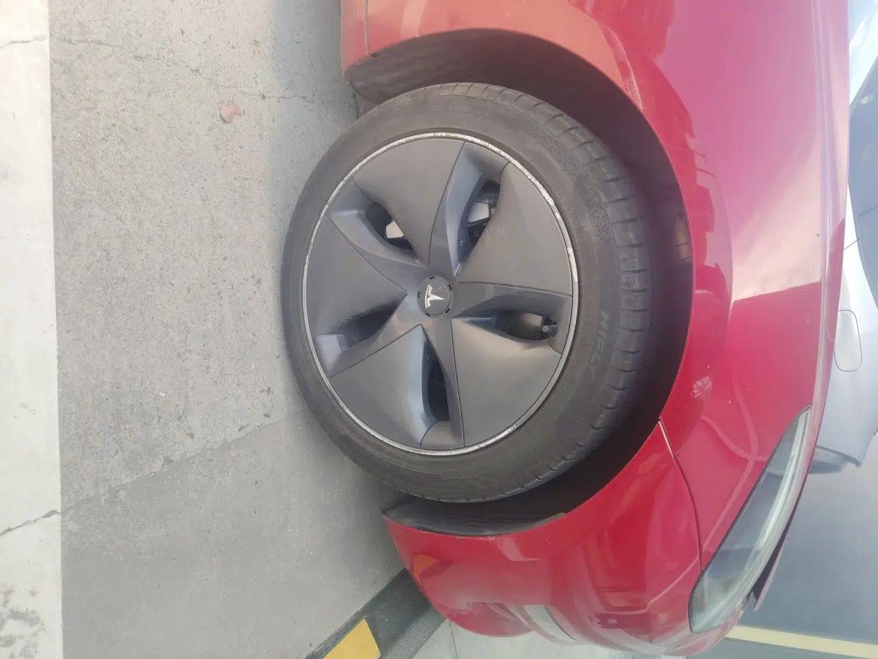 Tesla Model 3 2019 Standard Range Rear-Wheel Drive Upgraded Version (60 kWh) — миниатюра 8