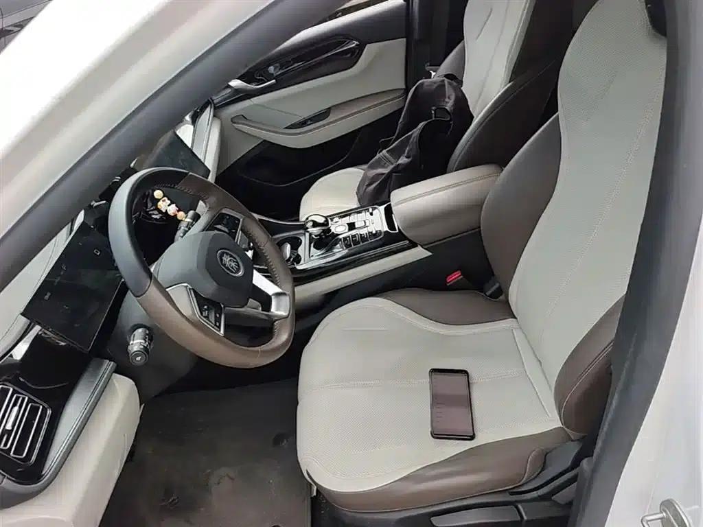 Qin PLUS 2024 Glory Edition DM-i 55KM Leading Model — миниатюра 8