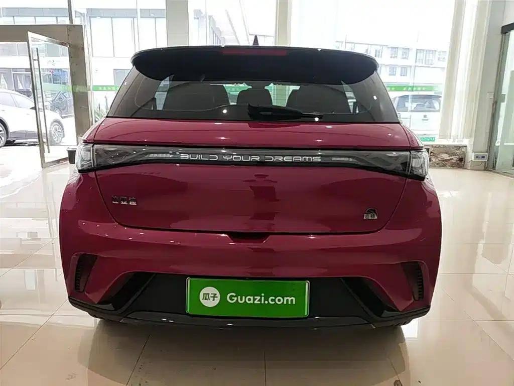 Dolphin 2023 420km Fashion Edition — миниатюра 6