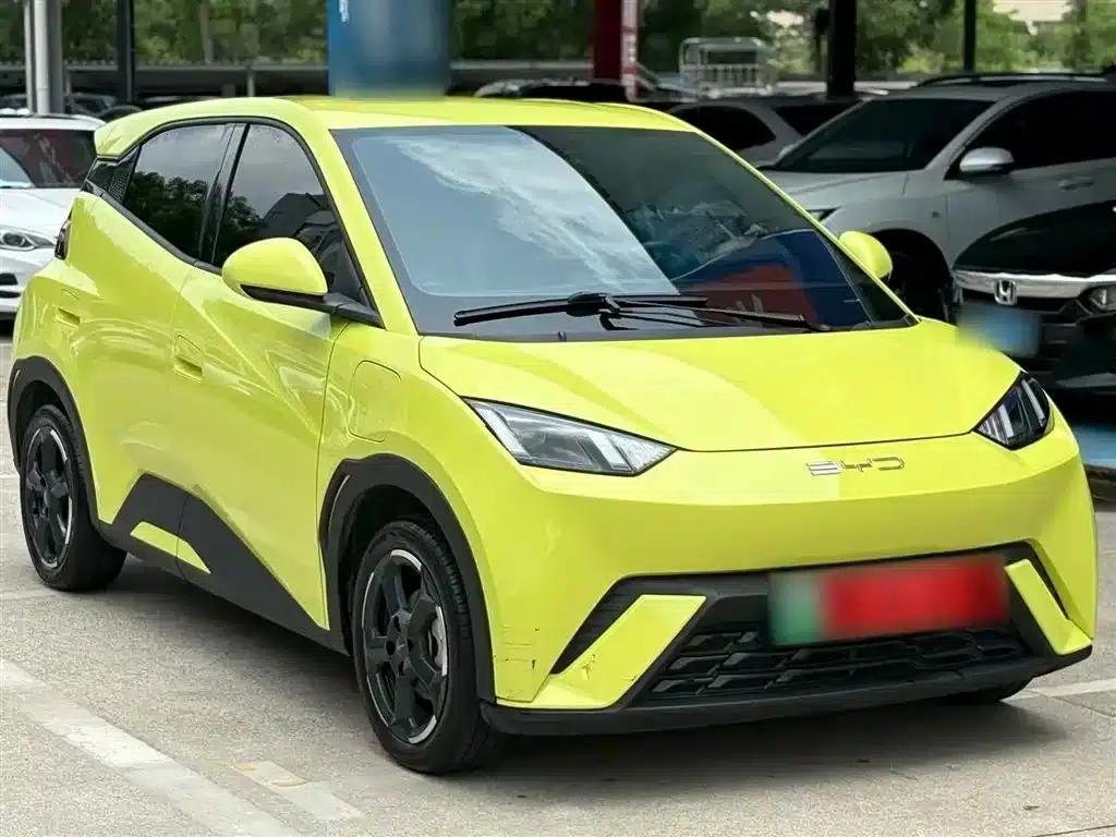Seagull 2023 Freedom Edition — миниатюра 4