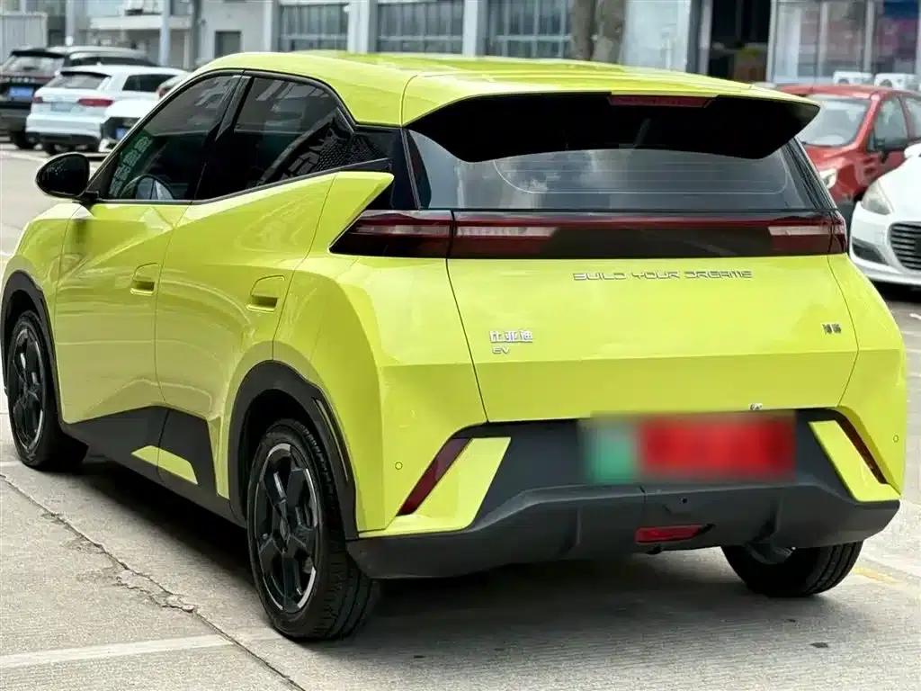 Seagull 2023 Freedom Edition — миниатюра 5
