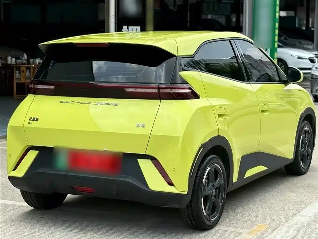Seagull 2023 Freedom Edition — миниатюра 8