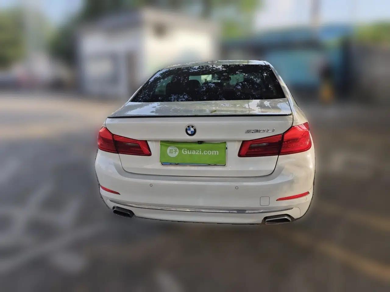 BMW 5 Series 2019 Facelifted 530Li Leading Edition M Sport Package — миниатюра 5