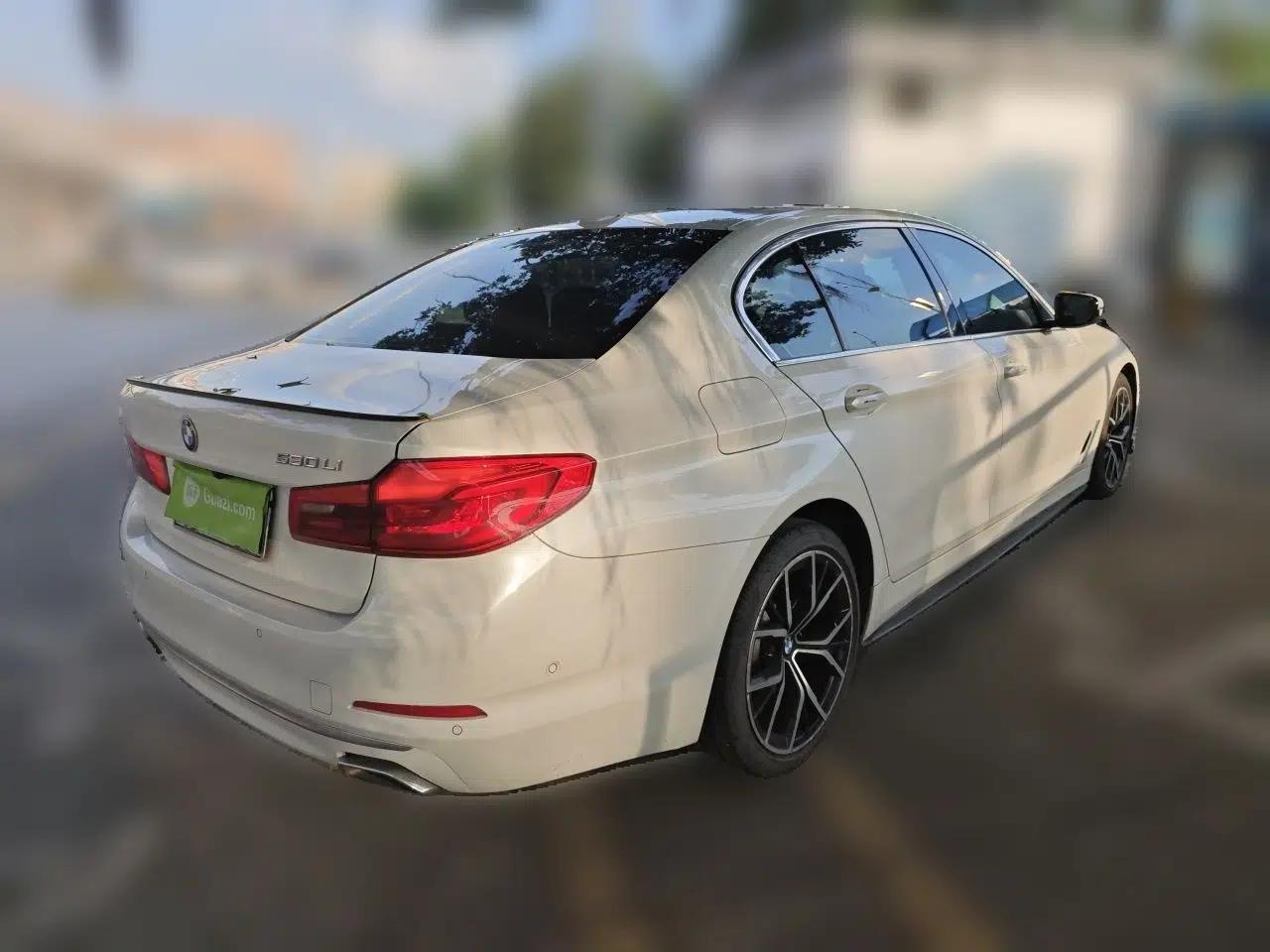 BMW 5 Series 2019 Facelifted 530Li Leading Edition M Sport Package — миниатюра 6