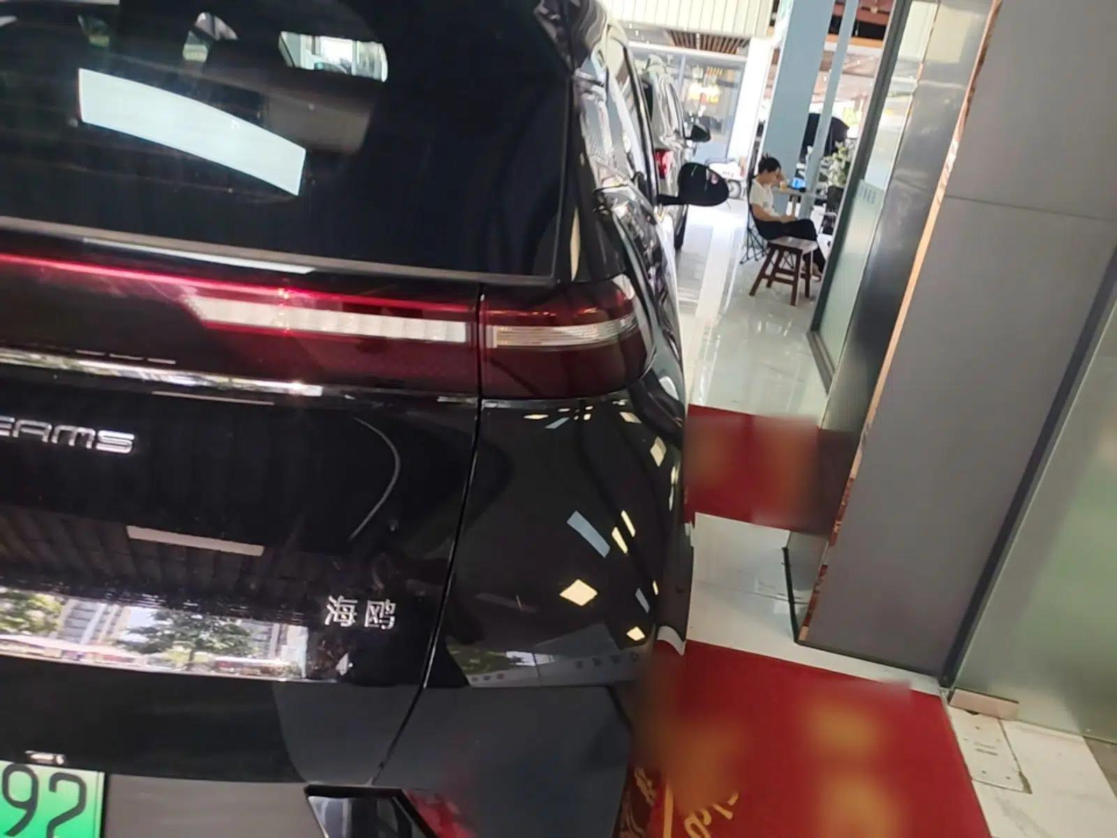 BYD Seagull 2024 Honor Edition 305km Dynamic Version — миниатюра 9