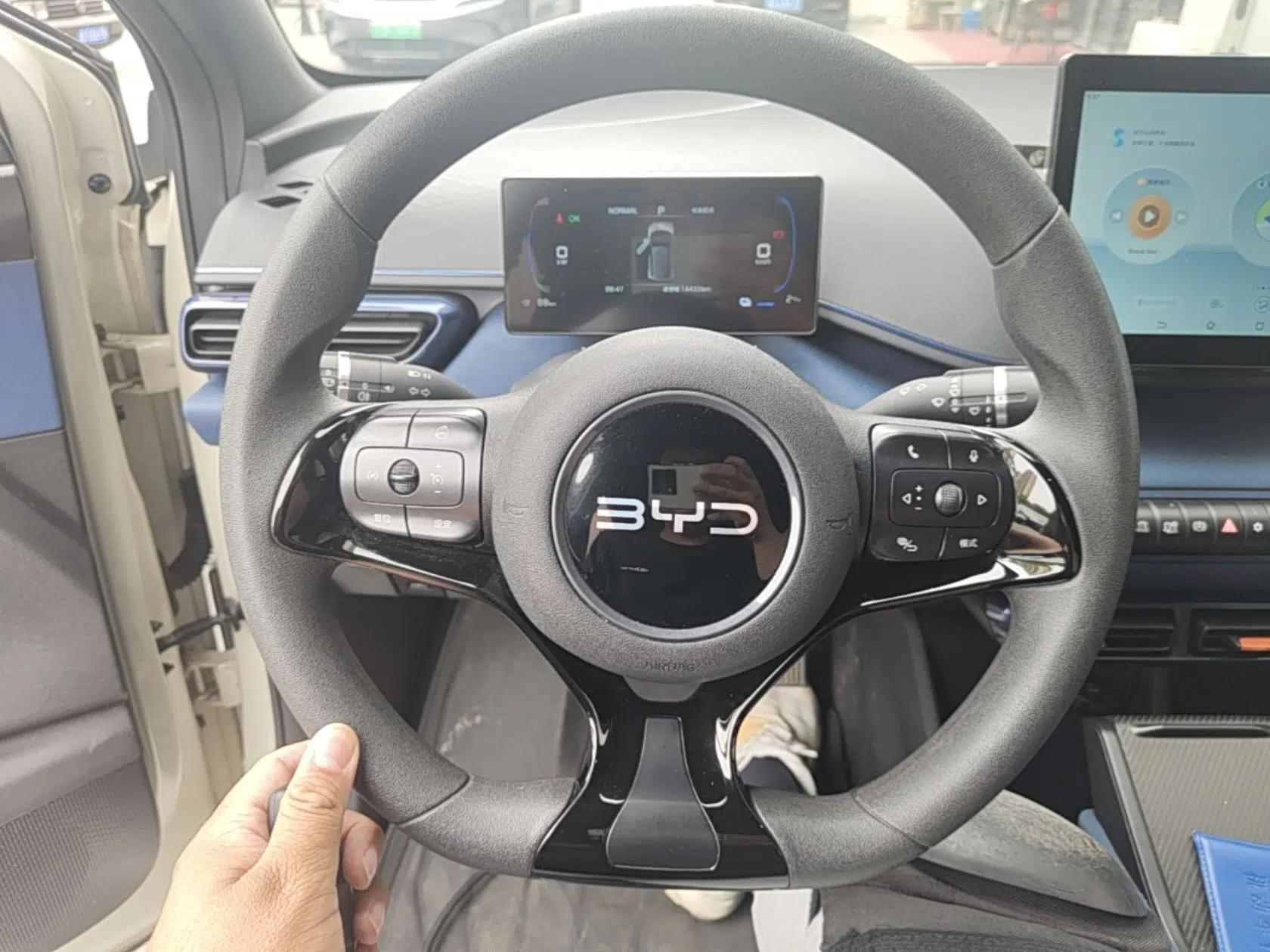 BYD Seagull 2025 305km Active Version — миниатюра 13