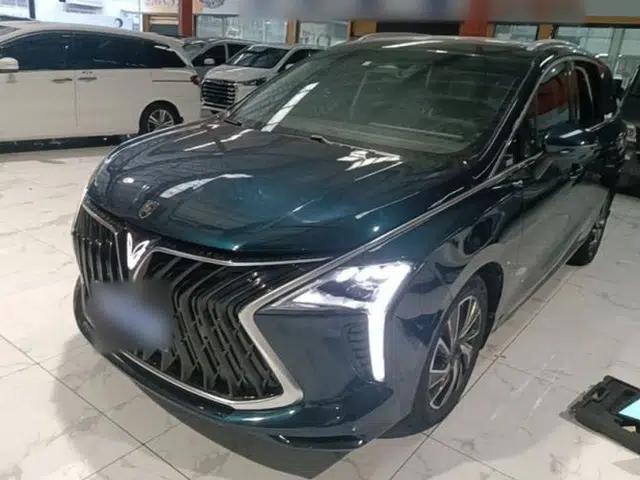 FORTHING Yacht 2022 1.5T DCT Chasing-the-Waves Edition