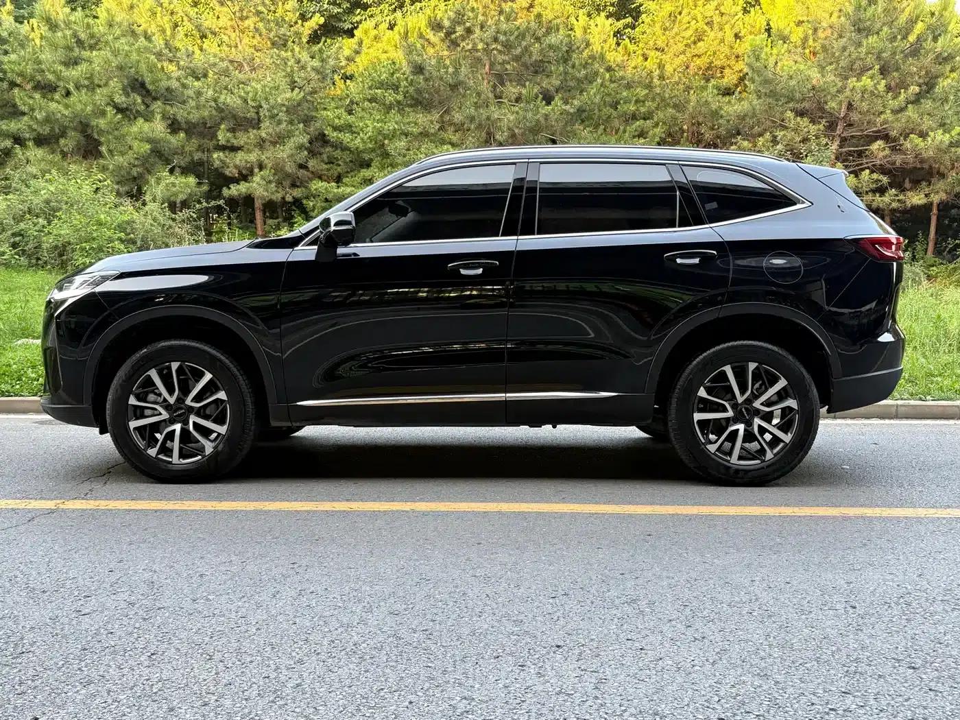 Haval H6 2022 Third Generation 1.5T Automatic Two-Wheel Drive Pro — миниатюра 3