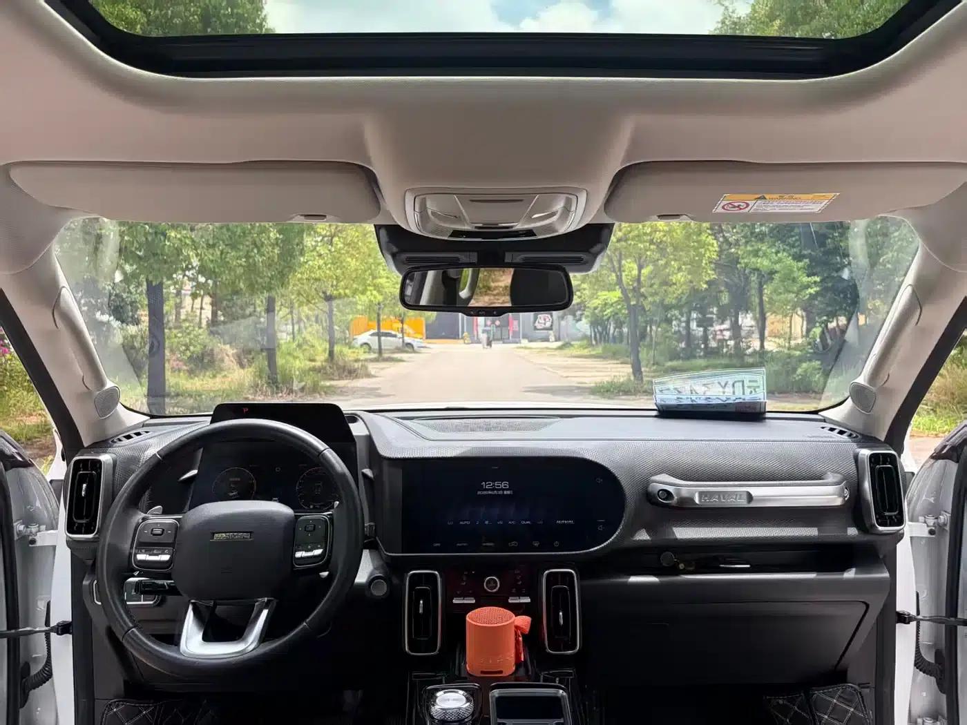 Haval Big Dog 2022 2.0T DCT 4WD Howling Dog Edition — миниатюра 5
