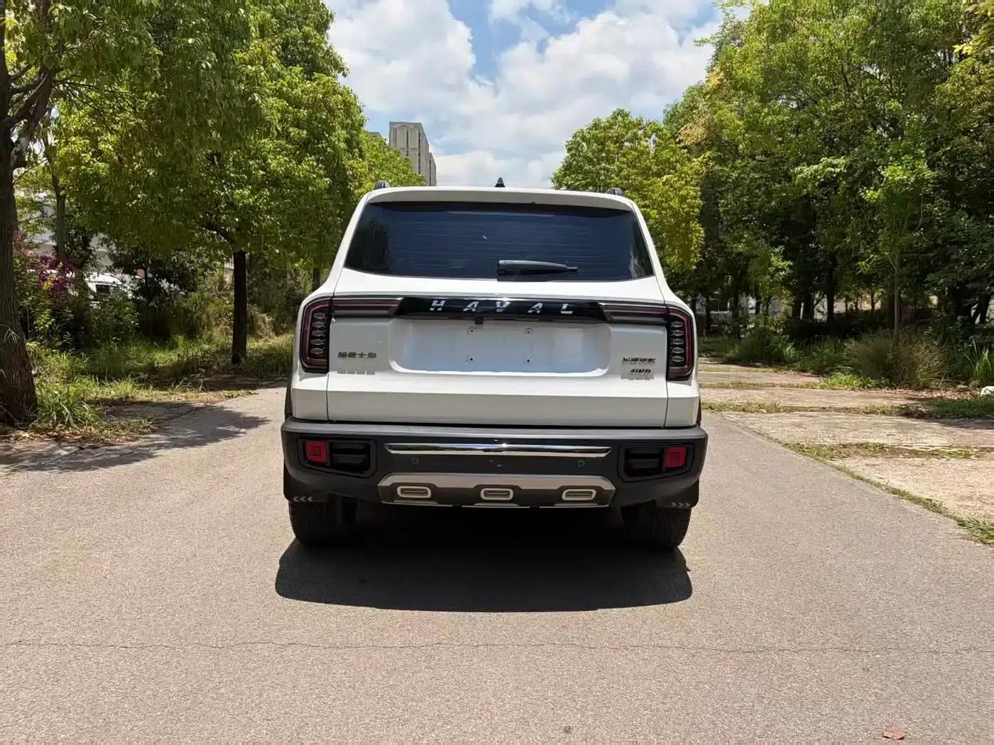 Haval Big Dog 2022 2.0T DCT 4WD Howling Dog Edition — миниатюра 8