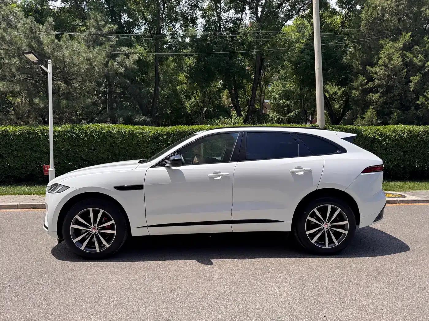 2024 Jaguar F-PACE P250 R-Dynamic SE — миниатюра 3