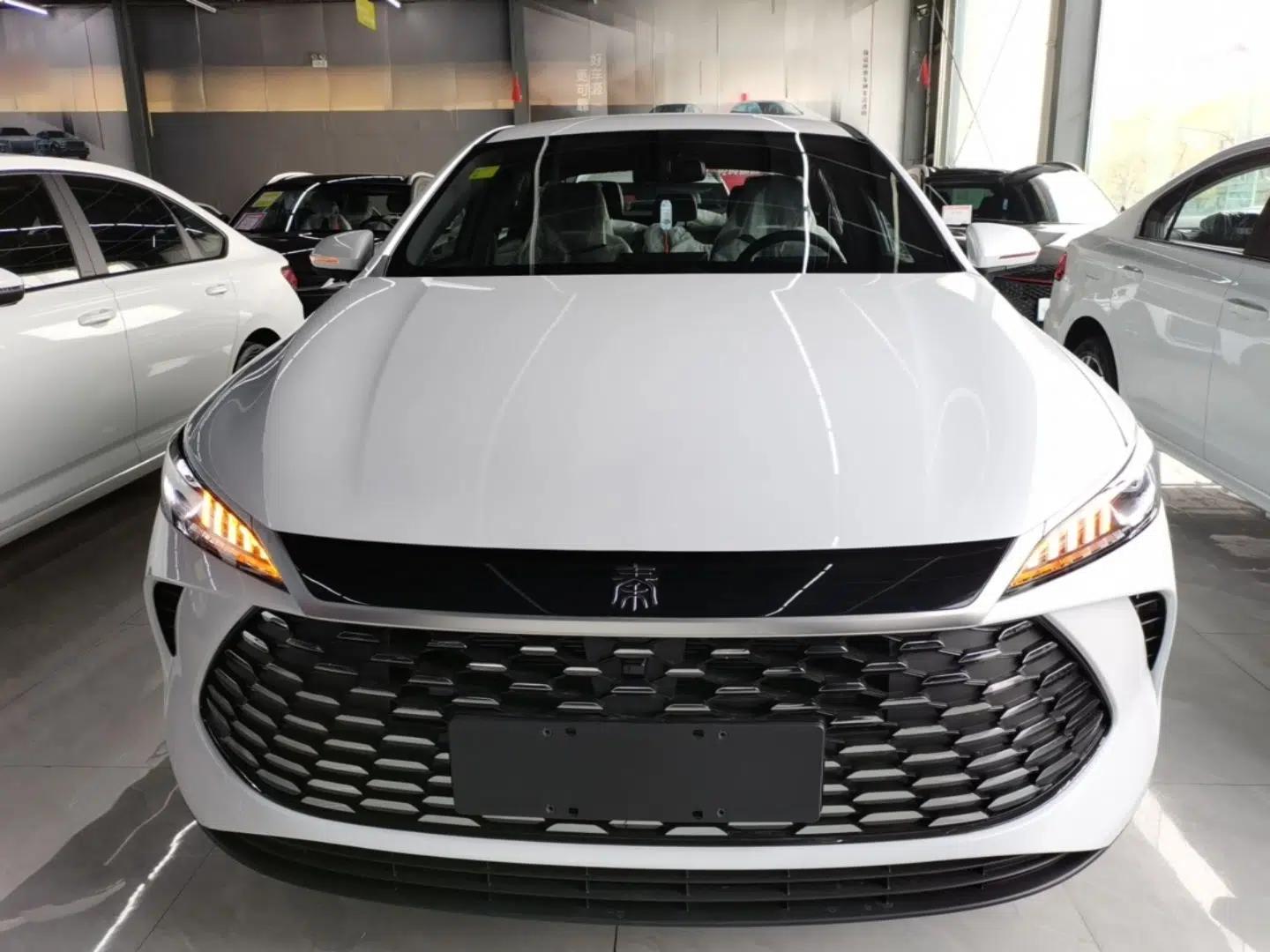 BYD Qin PLUS — миниатюра 2