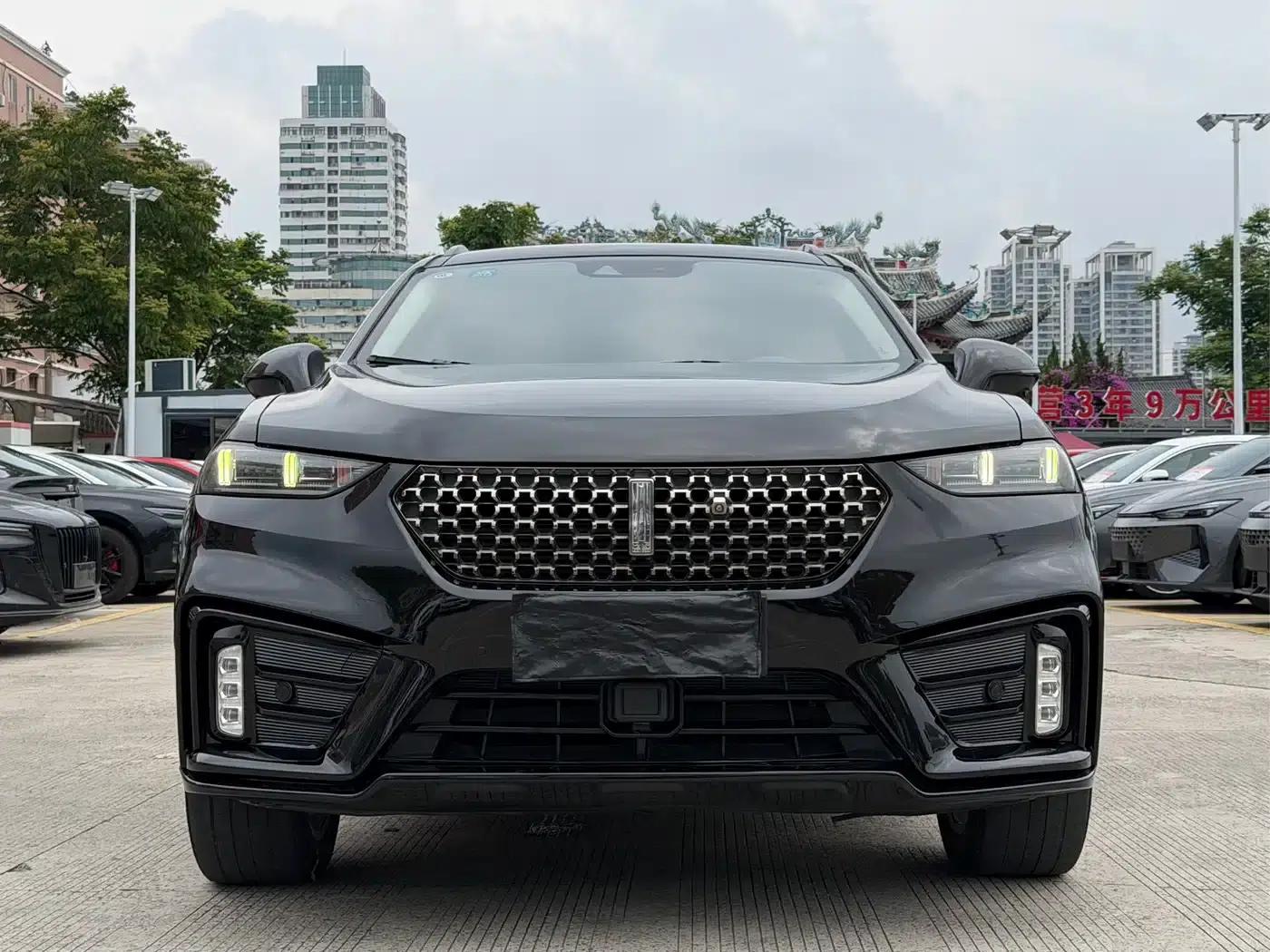 Weipai VV7 2020 2.0T Super Luxury Edition — миниатюра 2