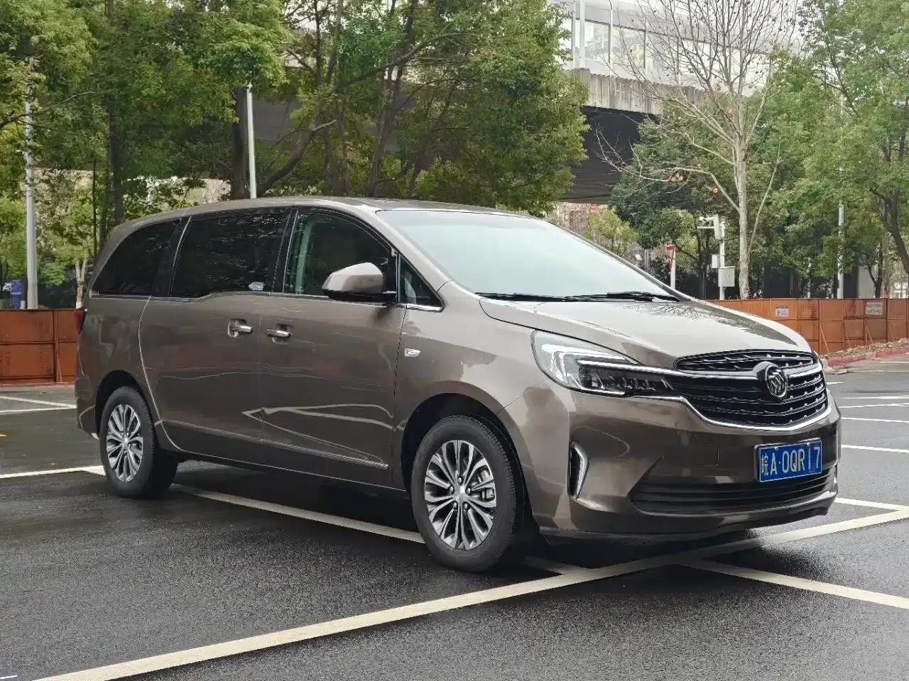 Buick GL8 2021 Land Business Class 652T Luxury — миниатюра 3