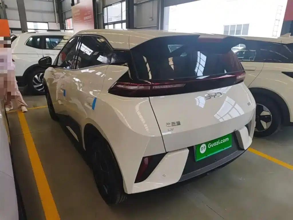 Seagull 2025 Smart Driving Edition 305km Vitality Edition — миниатюра 5
