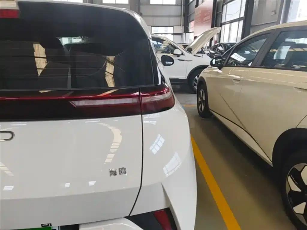 Seagull 2025 Smart Driving Edition 305km Vitality Edition — миниатюра 8