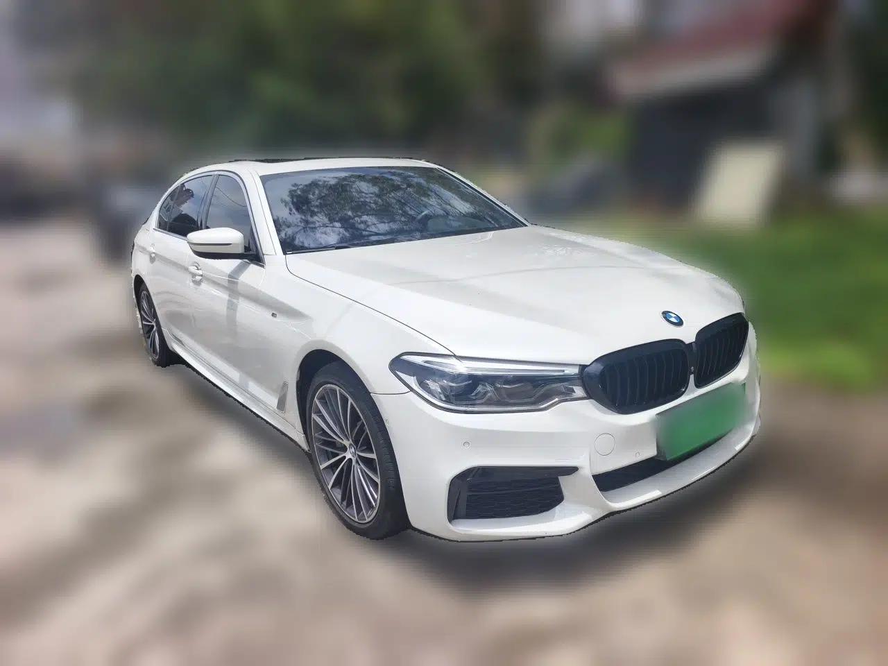 BMW 5 Series 2020 530Li Luxury Edition M Sport Package — миниатюра 3
