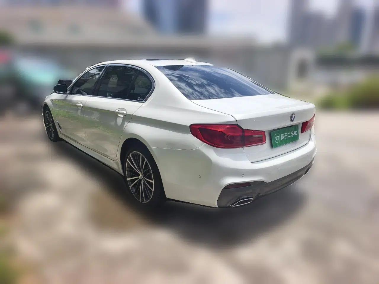 BMW 5 Series 2020 530Li Luxury Edition M Sport Package — миниатюра 4