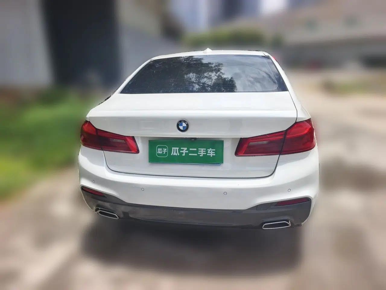 BMW 5 Series 2020 530Li Luxury Edition M Sport Package — миниатюра 5