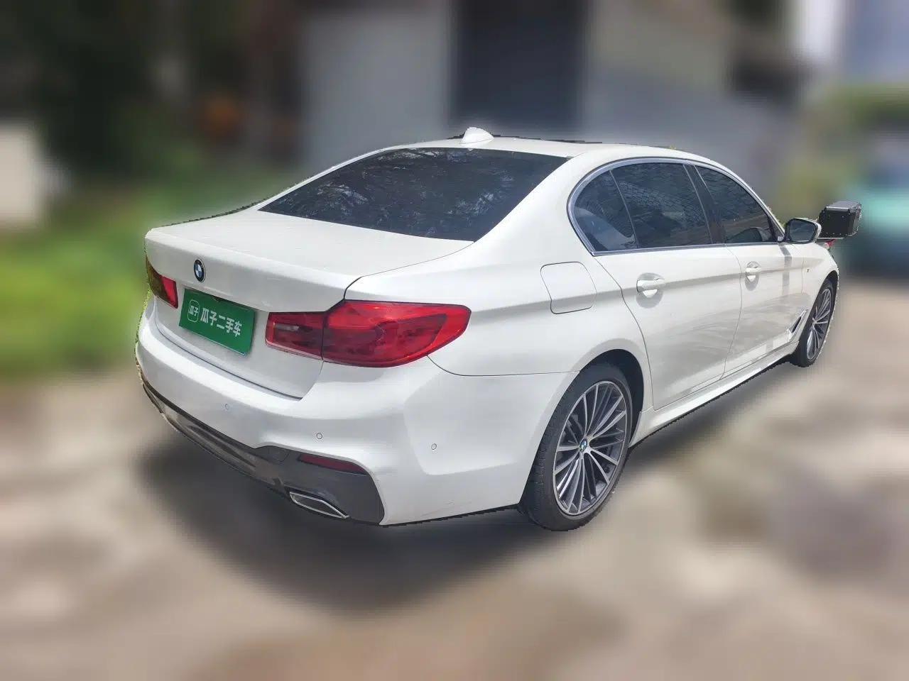BMW 5 Series 2020 530Li Luxury Edition M Sport Package — миниатюра 6