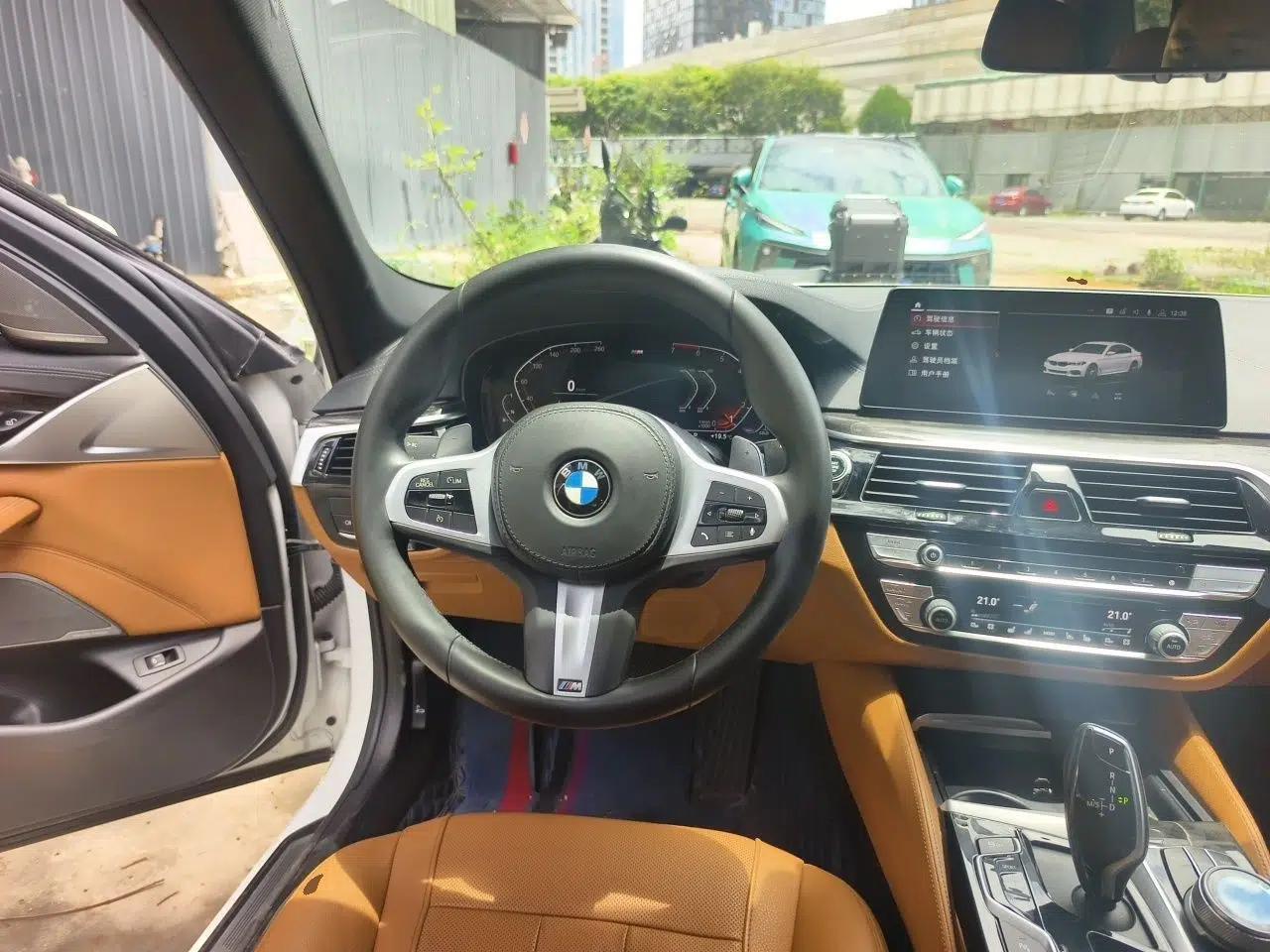 BMW 5 Series 2020 530Li Luxury Edition M Sport Package — миниатюра 10