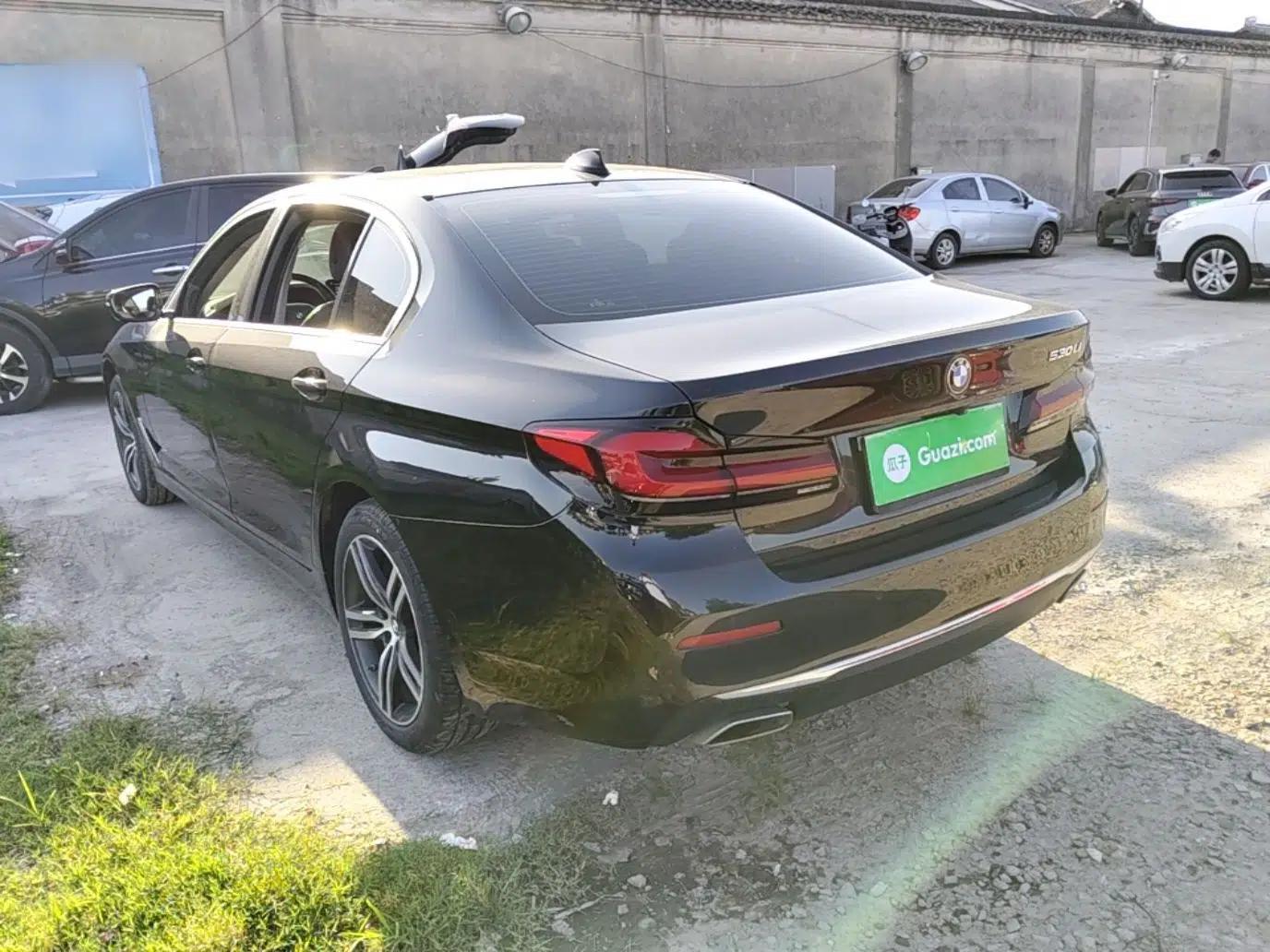 BMW 5 Series 2021 530Li Leading Luxury Package — миниатюра 4