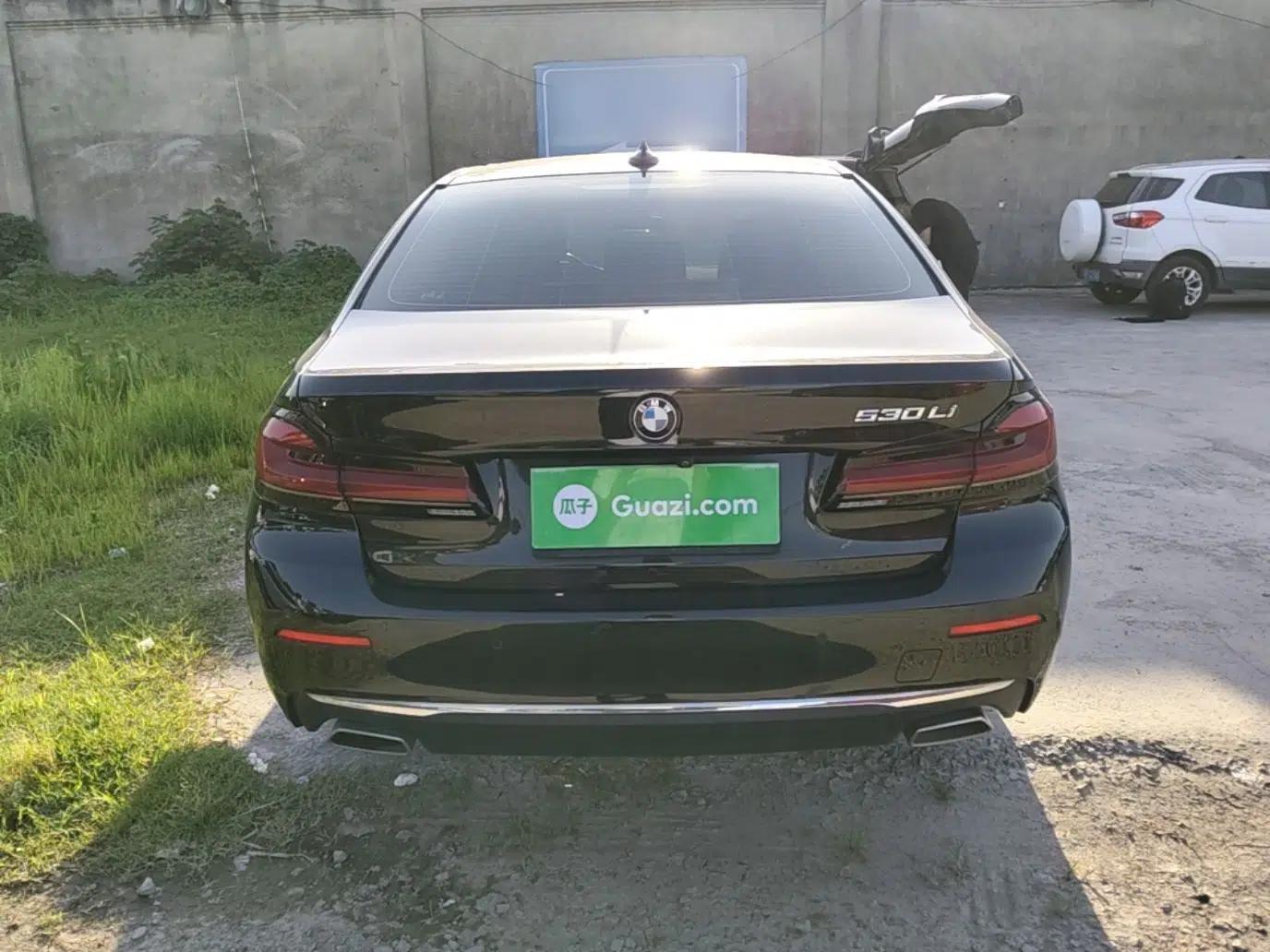BMW 5 Series 2021 530Li Leading Luxury Package — миниатюра 5