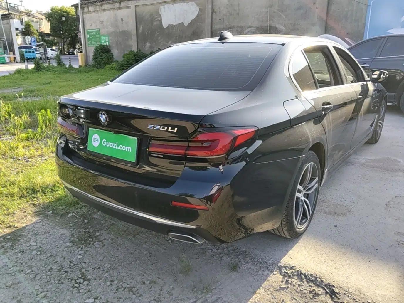 BMW 5 Series 2021 530Li Leading Luxury Package — миниатюра 6