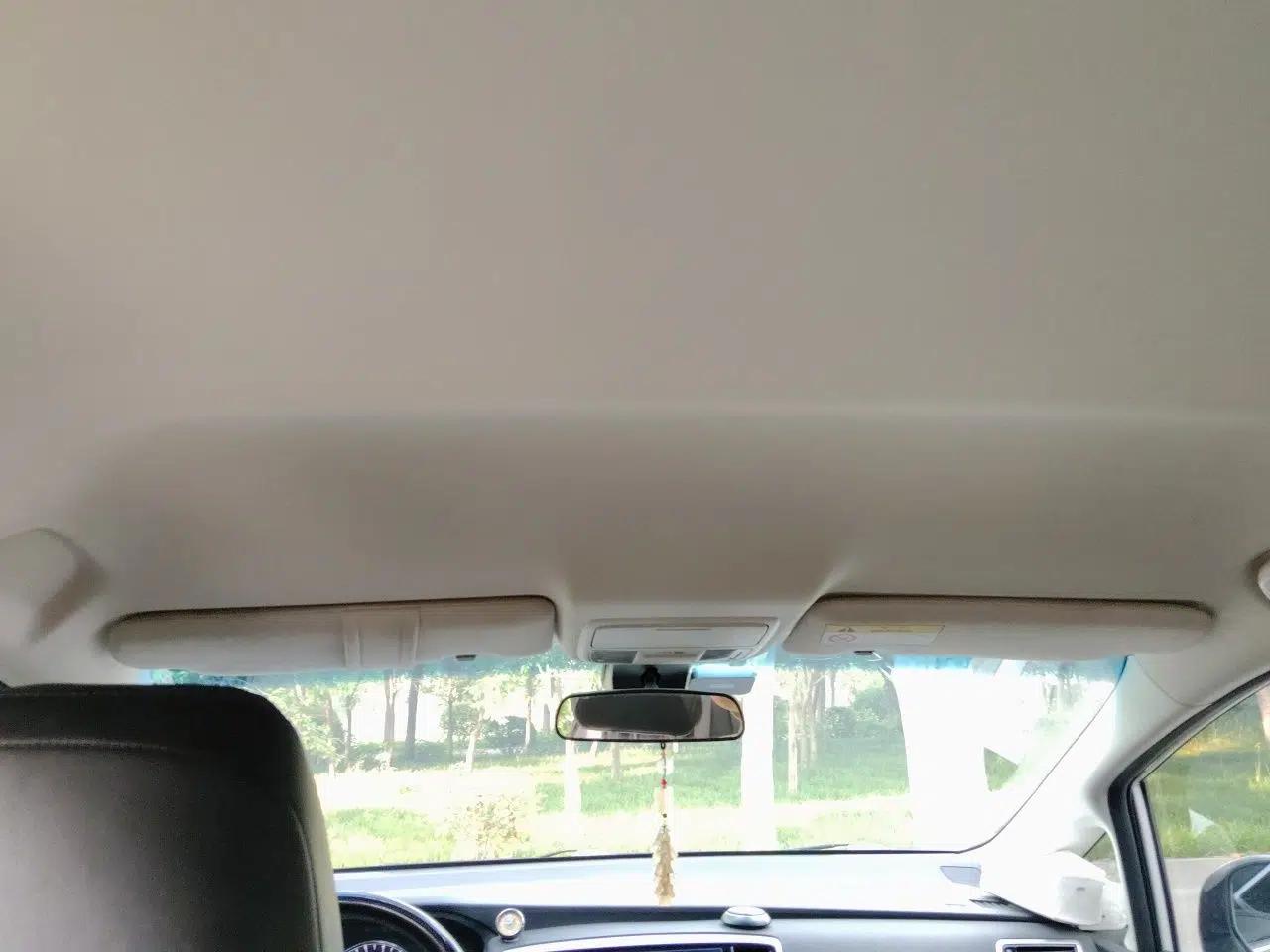 Honda Odyssey 2019 2.0L Rui-Changxiang Edition — миниатюра 18
