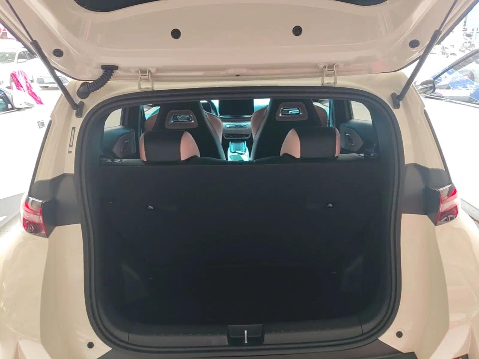 BYD Seagull 2025 Smart Drive Version 305 km Freedom Edition — миниатюра 22