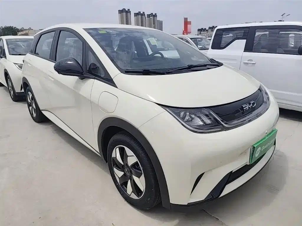 Dolphin 2025 420km Freedom Edition — миниатюра 4