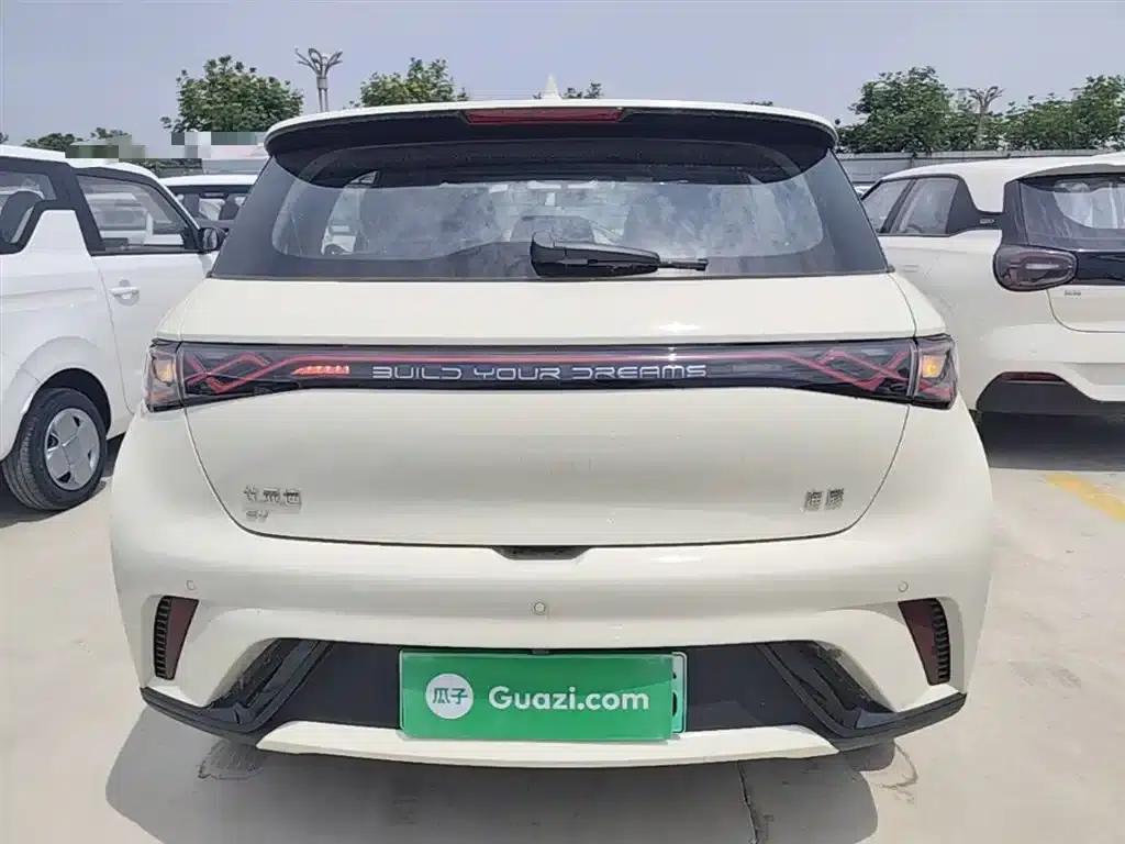 Dolphin 2025 420km Freedom Edition — миниатюра 6
