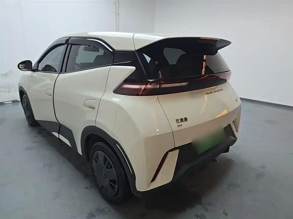 Seagull 2023 Freedom Edition — миниатюра 5