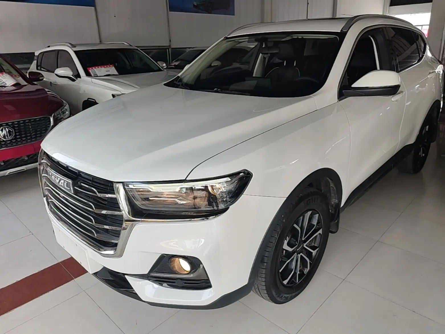 Haval H6 2021 National Trend Edition 1.5T Automatic Urban Version — миниатюра 1