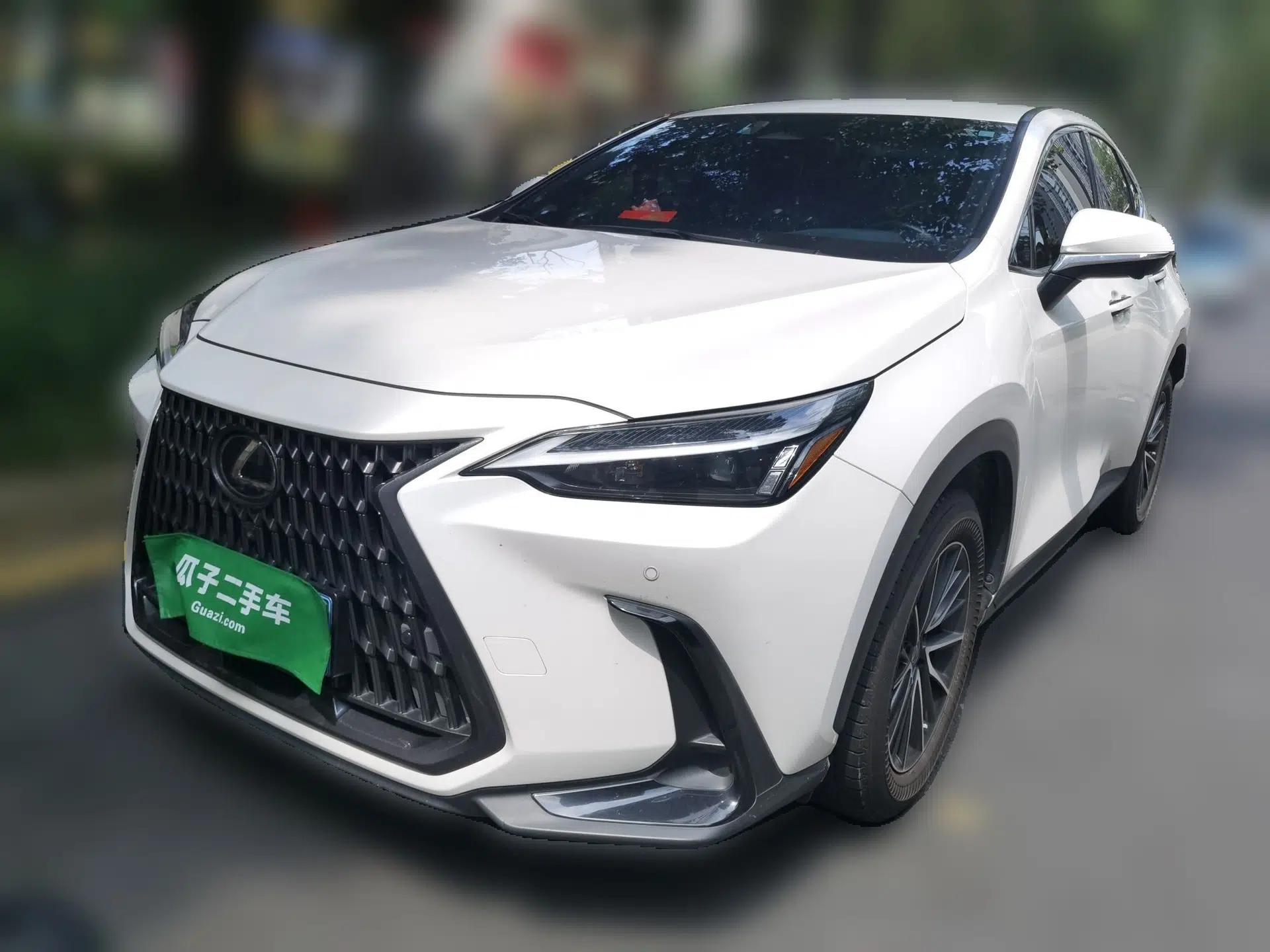 Lexus NX 2022 260 Front-Wheel Drive Chuanchi Edition — миниатюра 1