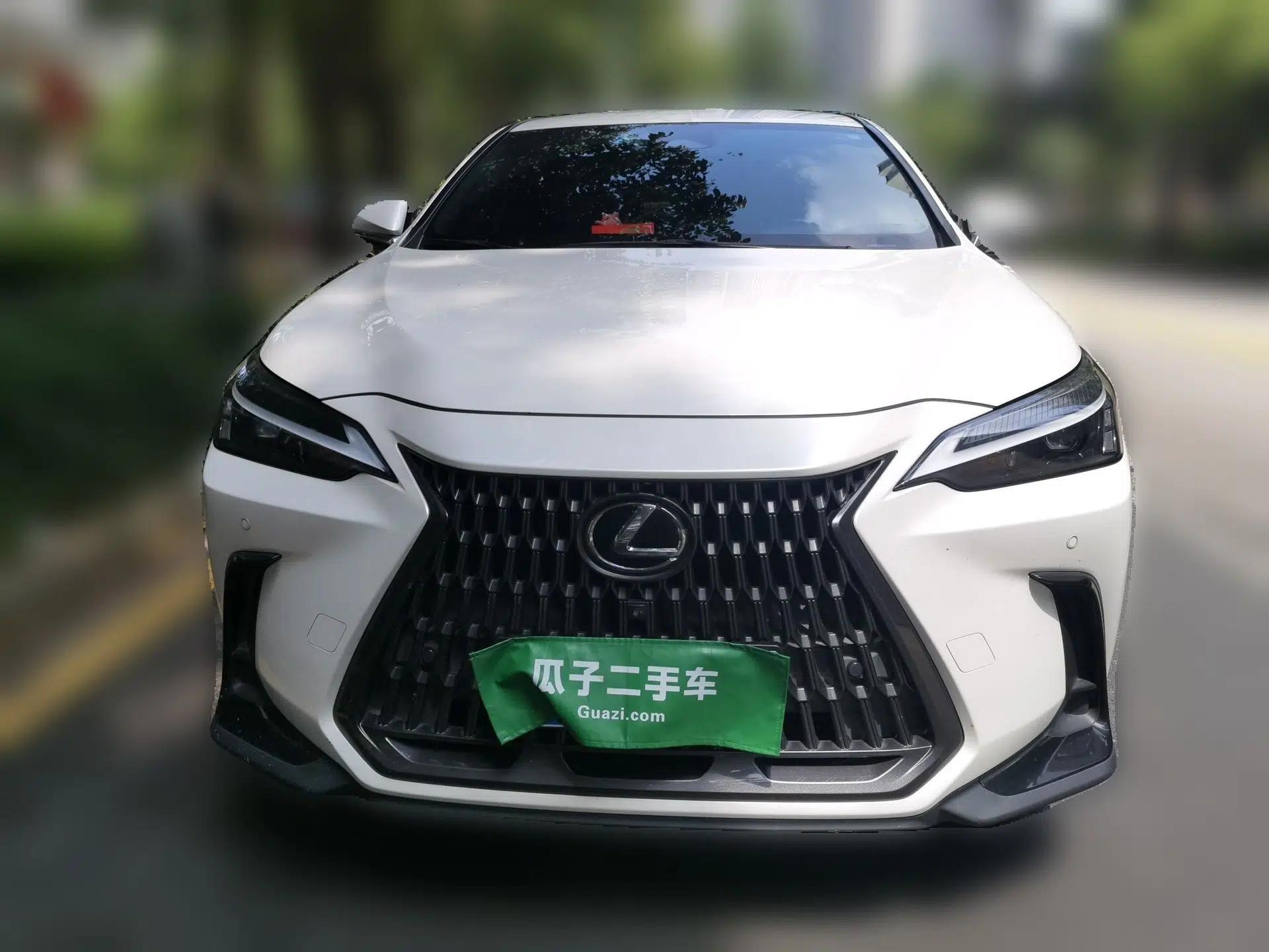 Lexus NX 2022 260 Front-Wheel Drive Chuanchi Edition — миниатюра 2