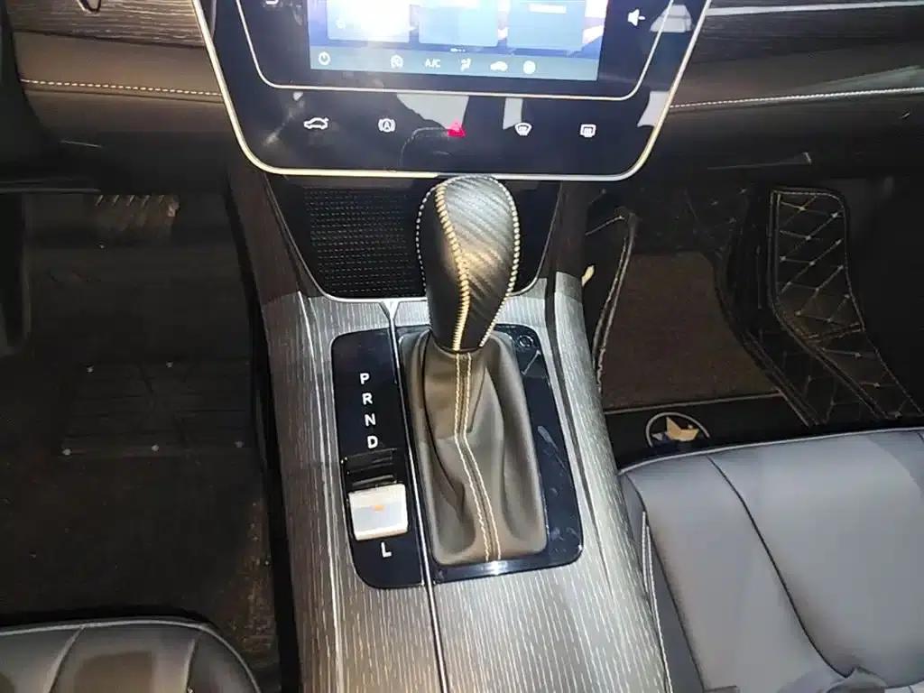 Venucia D60 2021 PLUS 1.6L XL CVT Elite Edition — миниатюра 14