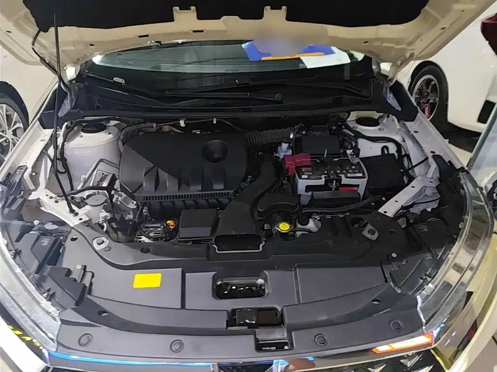 Venucia D60 2021 PLUS 1.6L XL CVT Elite Edition — миниатюра 20