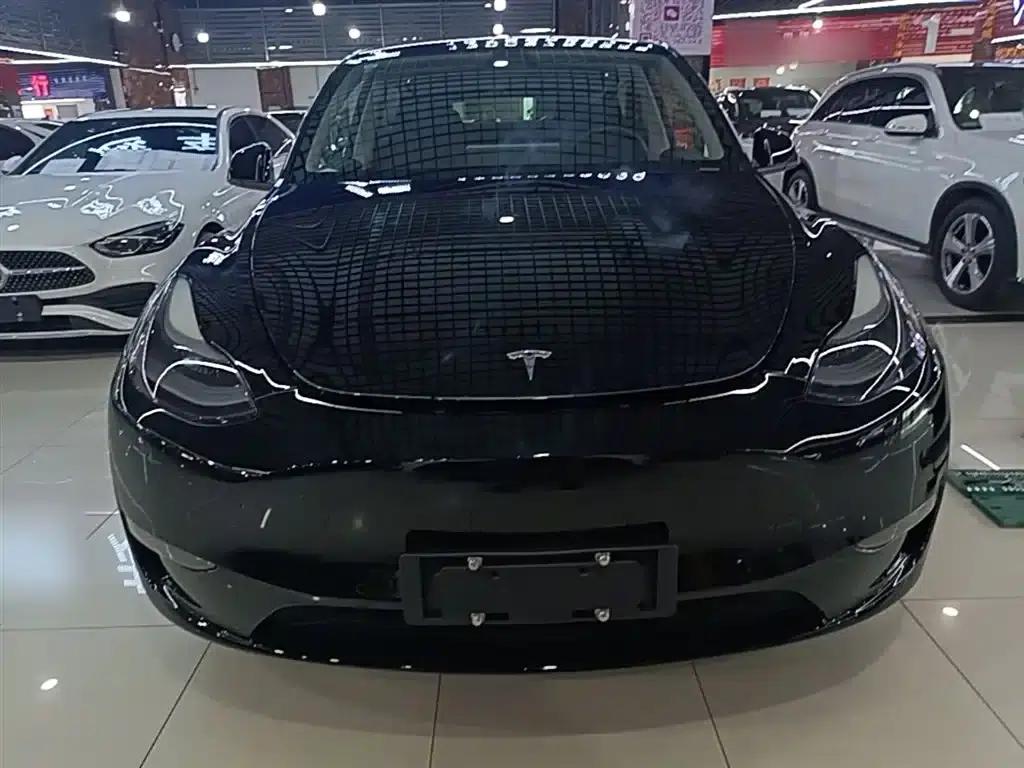Model Y 2021 Standard Range Rear-Wheel Drive — миниатюра 3
