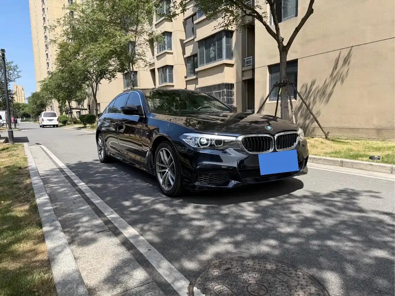2020 BMW 5 Series 525Li Luxury Package — миниатюра 3