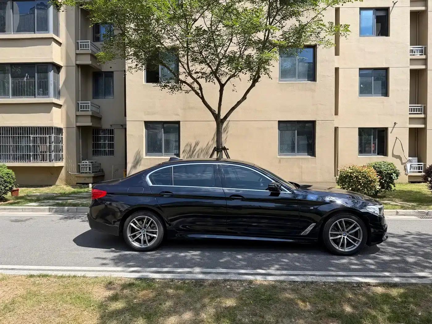 2020 BMW 5 Series 525Li Luxury Package — миниатюра 4