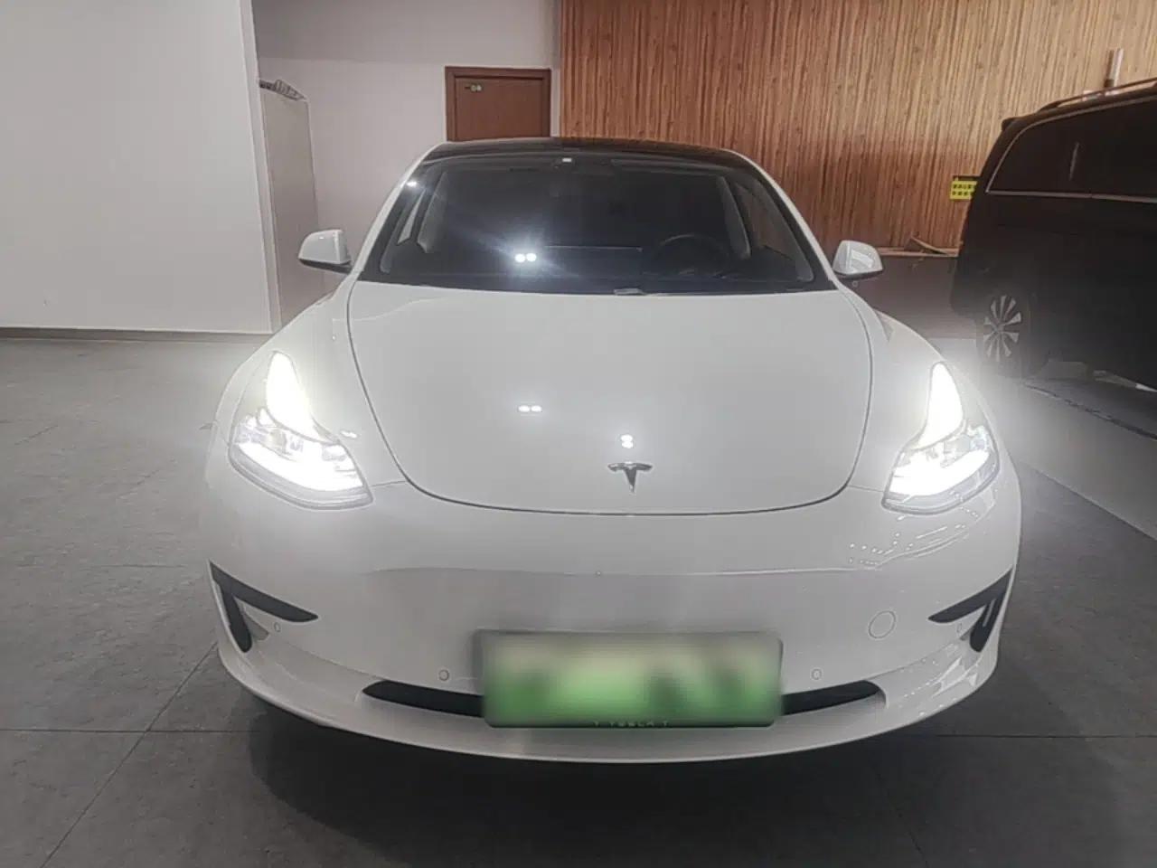 Tesla Model 3 2021 Standard Range Rear-Drive Upgraded Version — миниатюра 2
