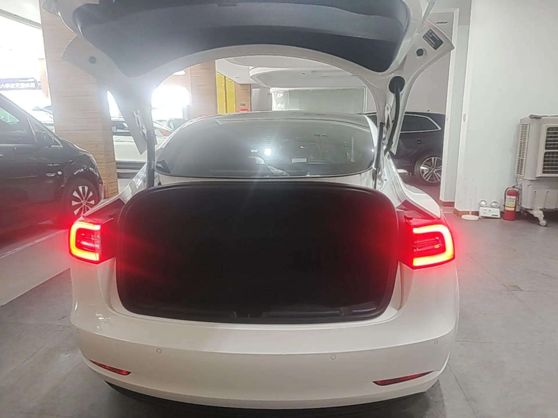 Tesla Model 3 2021 Standard Range Rear-Drive Upgraded Version — миниатюра 22
