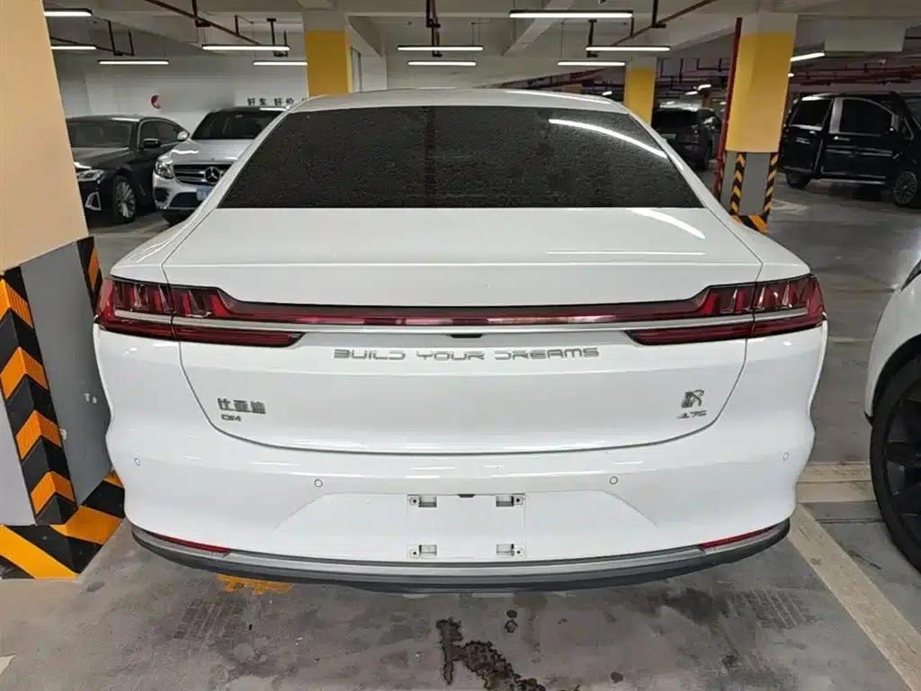 2020 Han DM 4WD Performance Luxury Edition — миниатюра 6