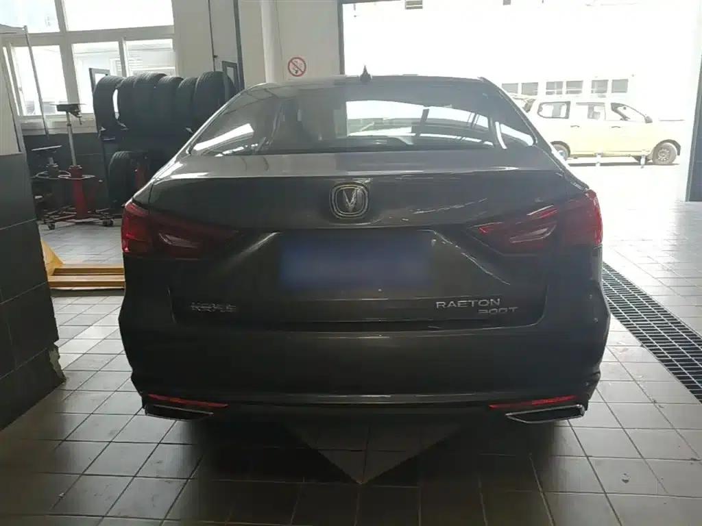 Ruicheng CC 2022 Blue Whale Edition 1.5T DCT Luxury — миниатюра 6