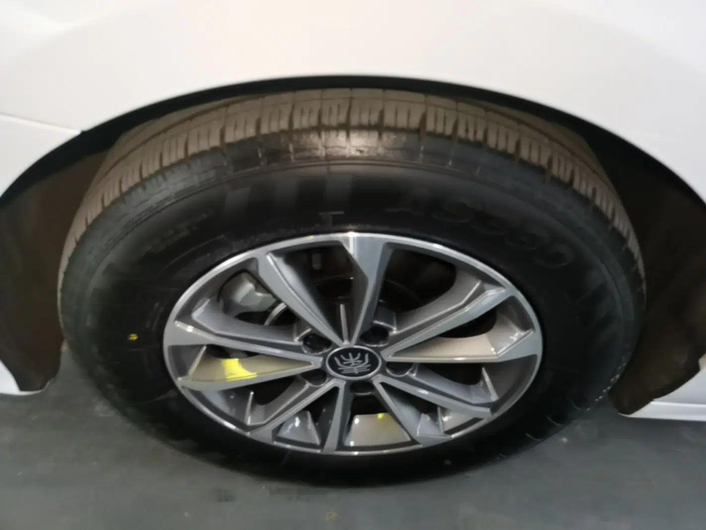 BYD Qin PLUS 2024 HONOR Edition DM-i 55KM Leading Model — миниатюра 10