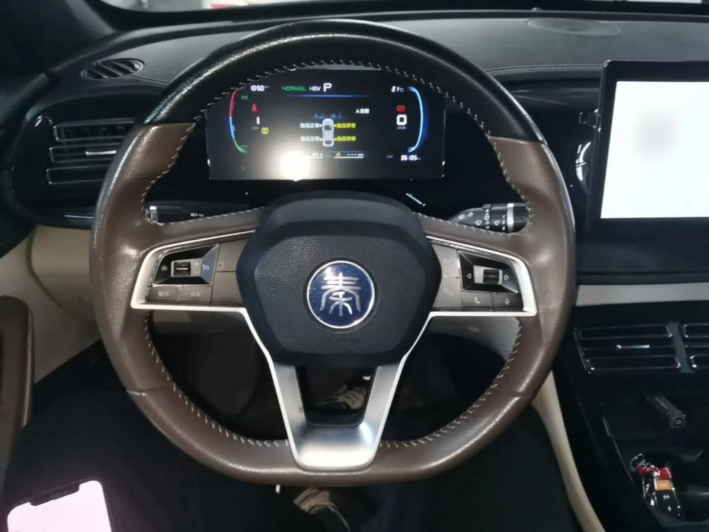 BYD Qin PLUS 2023 Champion Edition DM-i 55KM Leading Model — миниатюра 13