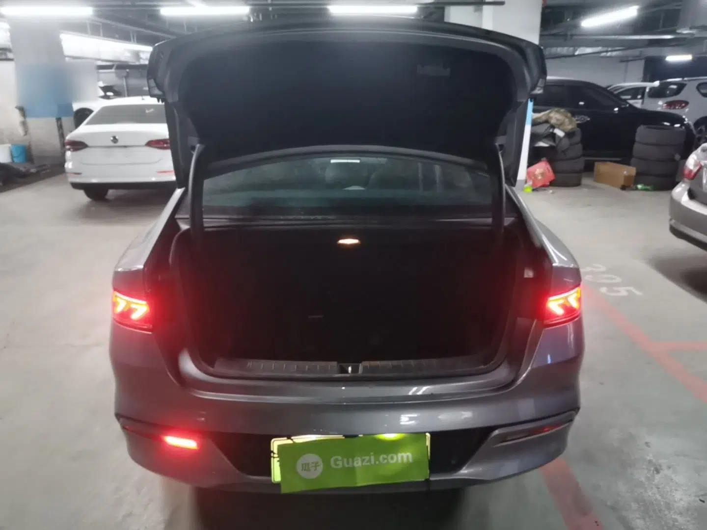 BYD Qin PLUS 2023 Champion Edition DM-i 55KM Leading Model — миниатюра 22