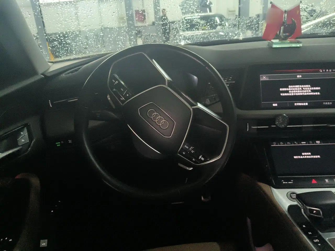Audi Q6 2024 45 TFSI quattro Qiyun Edition Yulin Package 6 seats — миниатюра 10
