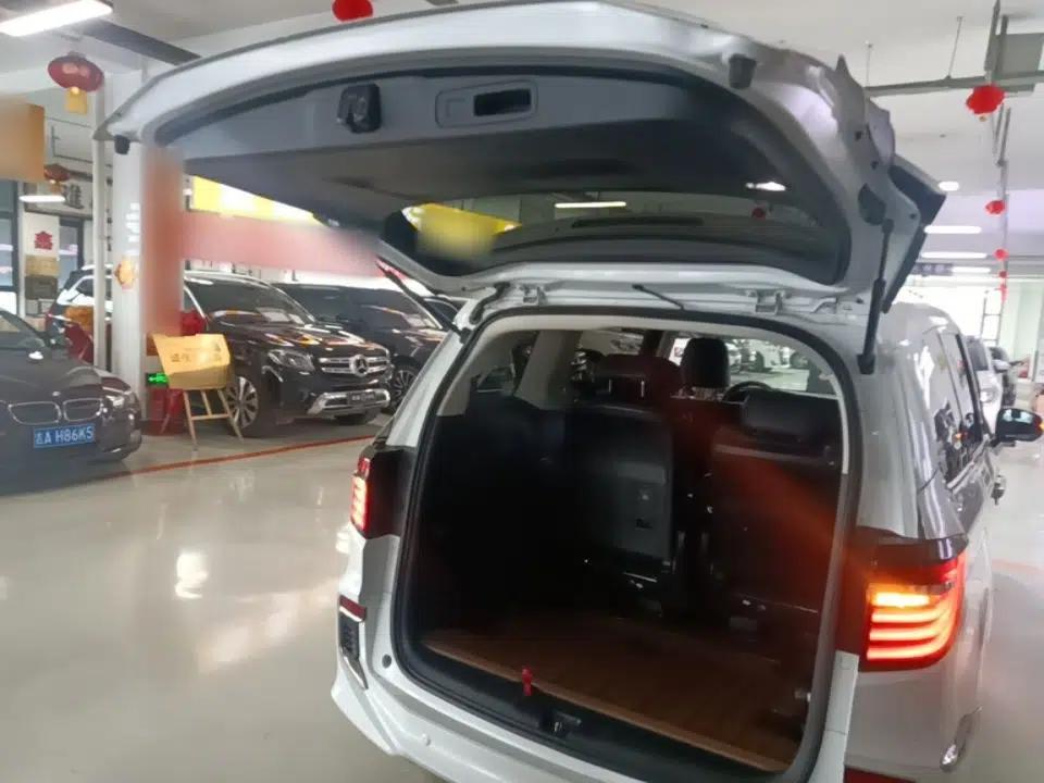 Honda Elysion 2019 2.0L Hybrid Luxury Edition — миниатюра 27